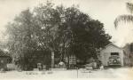 A classic view of an early Auburndale Residence