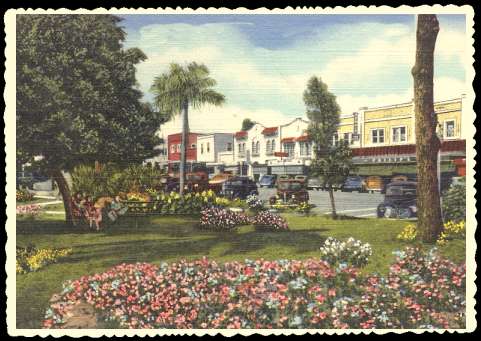 A vintage postcard showing the Business Section of Haines City